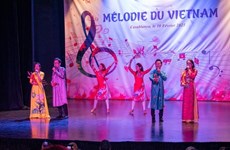 Vietnamese art, culture spotlighted in Morocco