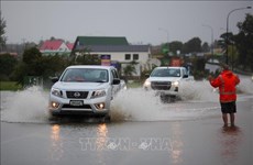 Sympathies to New Zealand on heavy losses by Cyclone Gabrielle