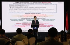 ASEAN, Japan look towards safe, prosperous society