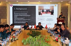 Vietnam, Laos enhance cooperation in forest protection