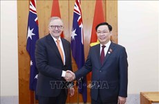 Vietnam, Australia build increasingly comprehensive, equal, reliable relations: Ambassador