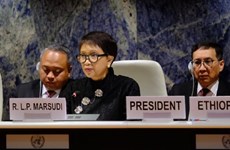 Indonesia proposes focuses of cooperation for human rights