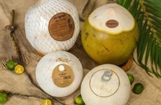 Positive outlook for Vietnam's coconut exports: experts