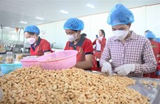 Binh Phuoc enjoys trade surplus of 220 mln USD in first two months