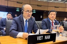 Vietnam attends IAEA Board of Governors Meeting
