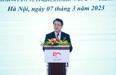 Vietnam, Japan should foster ties in development cooperation: official