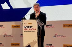 Malaysia works to strengthen resilience, maintain growth momentum