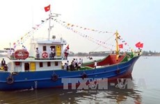 Quang Trị province focuses on combating IUU fishing