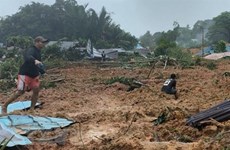 Indonesia steps up efforts to find dozens missing in landslide