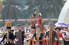 Buon Ma Thuot Street Festival excites spectators