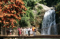 Quang Nam promotes tourism in mountainous areas