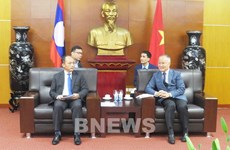 Vietnam shares experience in solving economic difficulties with Laos
