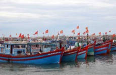Thai Binh works hard to have EC's "yellow card" against seafood removed