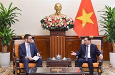 Vietnamese FM suggests expanding cooperation in areas of UK’s strength