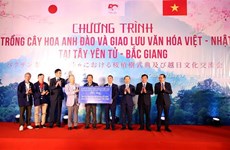 Vietnam-Japan cultural exchange event organised in Bac Giang