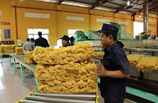 Vietnam – fourth biggest rubber supplier of RoK