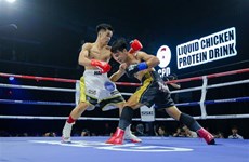 Boxer Nguyen Ngoc Hai wins WBA belt 