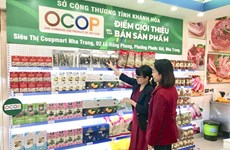 Hanoi looks to build trademarks for OCOP products 
