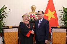 Vietnam always values relations with Chile: FM