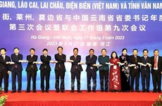 Vietnamese, Chinese border communities beef up cooperation