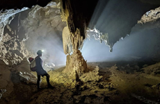 Five caves discovered in Quang Binh province