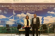 Vietnam's first blockchain peer-to-peer energy trading project launched
