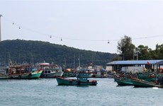 Kien Giang province strictly handles violations of fishing regulations