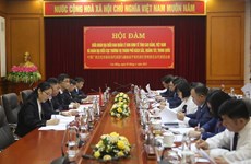 Vietnamese, Chinese localities look to boost investment cooperation