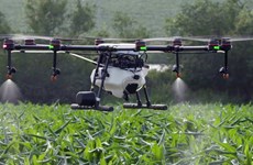 Hanoi boosts use of drones in agriculture production 