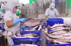 Fisheries exports estimated at 1.85 billion USD in Q1