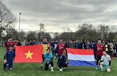 Vietnamese associations in Netherlands organise sports activities