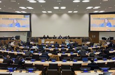 Vietnam highlights right to use nuclear energy, outer space for peaceful purposes
