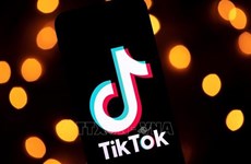 Ministry plans inspection of TikTok in May