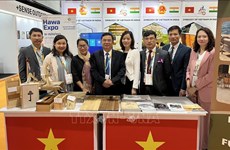 Vietnamese businesses updated on India’s new foreign trade policy