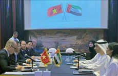 Vietnam, UAE to soon kick off negotiations of comprehensive economic partnership agreement