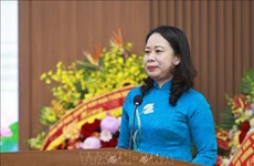 Vietnam Peace and Development Foundation celebrates its 20th anniversary