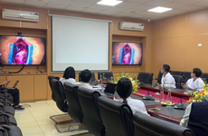 Telehealth sessions key factor in health sector's digital transformation