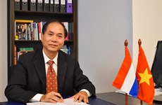 Vietnam, Netherlands boast open, candid relationship: Ambassador
