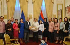 Vietnamese diplomats extend New Year greetings to Lao counterparts in France