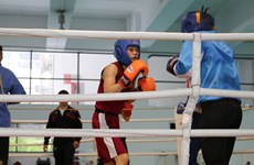 Vietnamese boxers gearing up for SEA Games 32