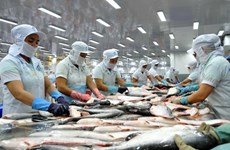 Tra fish by-products to become huge money earner: Experts
