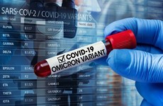 New COVID-19 cases rising again, particularly Omicron variant: health official 