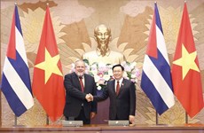 Top legislator’s visit to promote Vietnam – Cuba multifaceted cooperation: expert