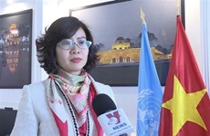 Vietnam can be proud of its contributions to cultural heritage safeguarding: ambassador