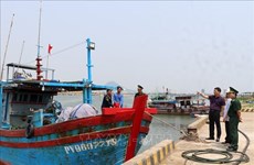 Phu Yen crackdowns on fishing-related violations