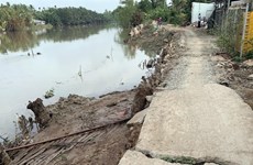 Mekong Delta faces increasing erosion