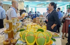 Vietnam, China’s Chongqing enjoy stronger trade ties  