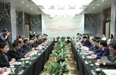 Fronts of Vietnam, Laos augment cooperation