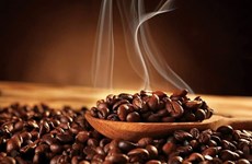 Seminar seeks to improve value of Vietnamese coffee