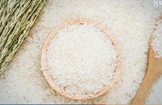 Thailand’s rice exports increase 8.48% in Q1